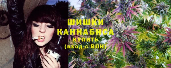 молекула духа Данков