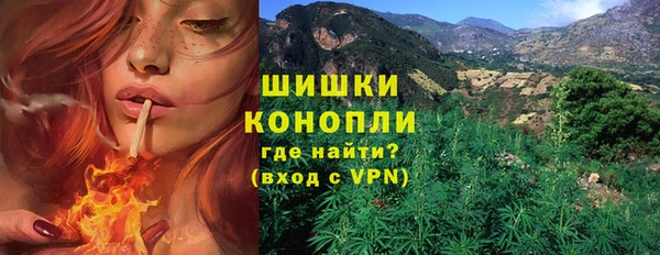 прущие грибы Волосово
