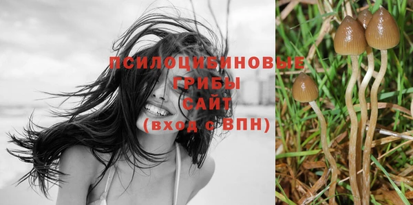 гидра Волоколамск