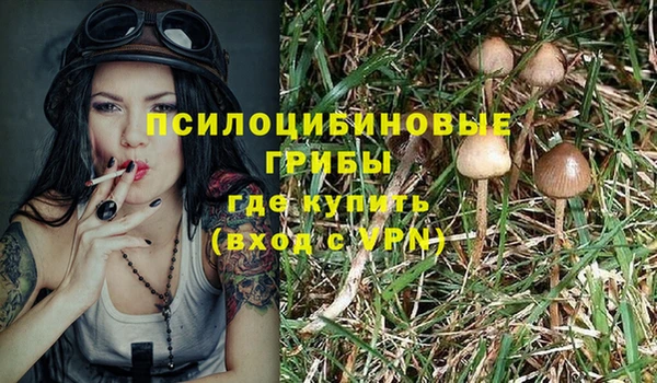 гидра Волоколамск